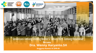 Sosialisasi undang -undang kesehatan nomor 17 tahun 2023 tentang kesehatan bersama anggota komisi ix…
